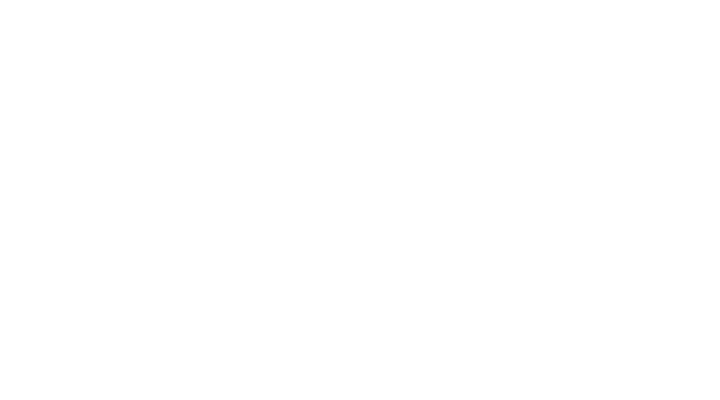 The Toy Haven